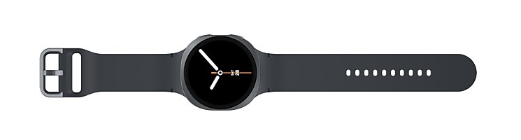 Samsung Galaxy Watch 8 L330 44mm BT grafīta krāsā