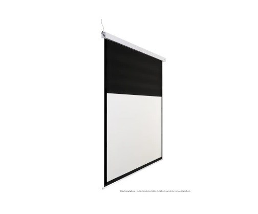 Avtek Business Electric Screen 300P